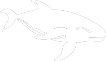 noordelijk Rechtsaf walvis schets silhouet vector