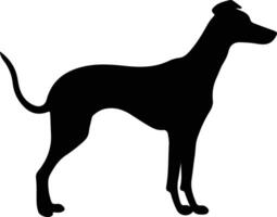 windhond silhouet portret vector