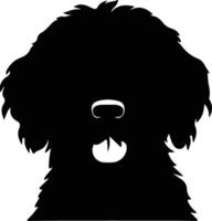 Spaans water hond silhouet portret vector