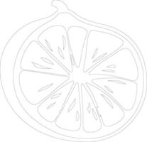 grapefruit schets silhouet vector