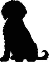 Spaans water hond zwart silhouet vector