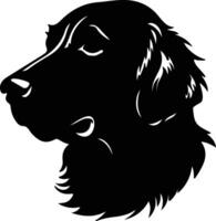 plat gecoat retriever silhouet portret vector