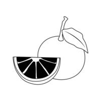 oranje fruit illustratie 2d vlak grafisch geschetst vector