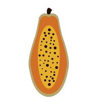 vlak icoon papaja geïsoleerd Aan wit achtergrond. fruit icoon. vector illustratie.