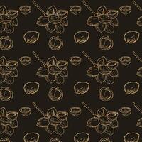 hand- getrokken gouden naadloos patroon van macadamia noot vector