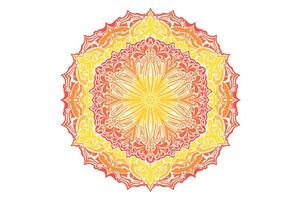 kleurrijk mandala ornament vector