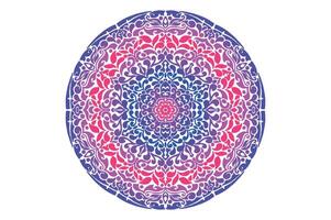 kleurrijk mandala ornament vector