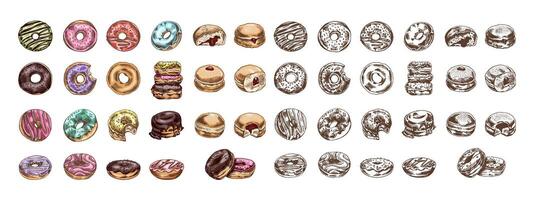 een hand getekend gekleurde en monochroom schetsen van donuts. wijnoogst illustratie. gebakje snoepgoed, nagerecht. element voor de ontwerp van etiketten, verpakking en ansichtkaarten. vector