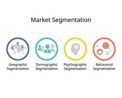 type van markt segmentatie voor demografisch, psychografisch, gedragsmatig en geografisch segmentatie vector