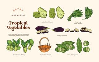 geïsoleerd tropisch groenten illustratie, Indonesisch botanisch verbruikt planten element vector