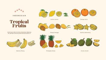 geïsoleerd tropisch fruit illustratie, Indonesisch gezond fruit ontwerp element vector