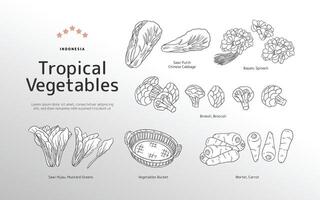 geïsoleerd tropisch groenten schets illustratie vector