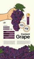 Gezondheid infographic sjabloon met tropisch fruit illustratie vector