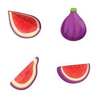 fig pictogrammen reeks tekenfilm vector. rijp zomer tropisch fruit vector