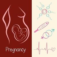 zwangerschap vijf pictogrammen vector