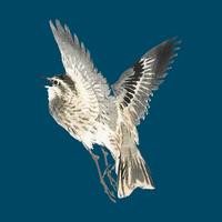 Sparrow door K? No Bairei (1844-1895). Digitaal verbeterd vanuit onze eigen originele uitgave uit 1913 van Bairei Gakan. vector