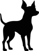 miniatuur pinscher zwart silhouet vector