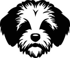 bichon frise silhouet portret vector