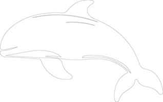 beluga walvis schets silhouet vector