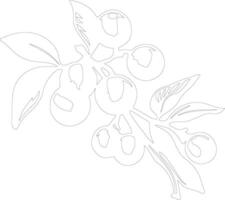 loquat schets silhouet vector