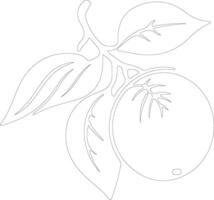 mandarijn- oranje schets silhouet vector