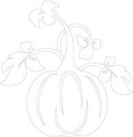 pattypan squash schets silhouet vector