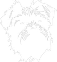 affenpinscher schets silhouet vector