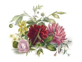 Kleurrijk stilleven van bloemen (1850), een arrangement van prachtige bloemen. Digitaal verbeterd door rawpixel. vector