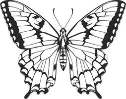 vector tekening van een vlinder zonder achtergrond