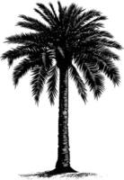 ai gegenereerd silhouet palm datums zwart kleur enkel en alleen vector