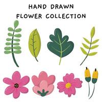 schattig hand- getrokken bloem en blad verzameling vector