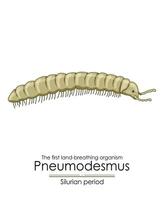 pneumodesmus, de eerste land-ademend organisme vector