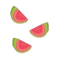 illustratie van guava vector