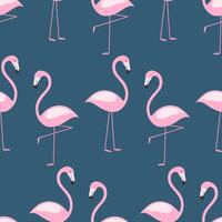 naadloos achtergrond met roze flamingo vogels. zomer patroon vector