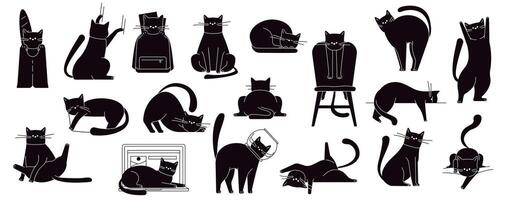 zwart kat poseert. schattig pot zittend en wandelen, grappig pluizig huiselijk katten in verschillend poses en posities. vector tekenfilm katten geïsoleerd reeks