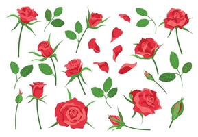 tekenfilm roos bloem elementen, bladeren, stang, bloemblaadjes en knoppen. rood bloeiend rozen voor boeket decoratie. romantisch bloemen symbool vector reeks