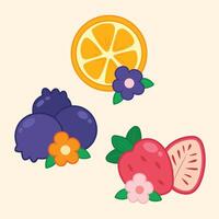 schattig fruit plak decoratie vector kunst