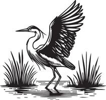 reiger staand in rijstveld veld. vector