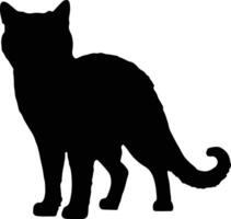 kat silhouet illustratie vector wit achtergrond