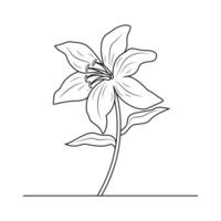 de illustratie van lelie bloem vector