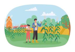 oogst seizoen. boeren Aan plantage verzamelen maïs vector