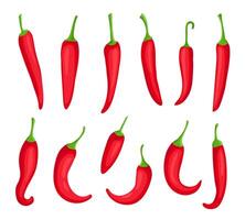 Chili paprika's. tekenfilm pittig heet rood peper. cayenne en capsaïcine kruid ingrediënt voor chili saus. Mexicaans peper logo element vector reeks