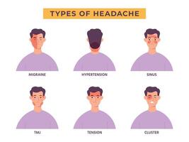 hoofdpijn types infographic met Mens karakter, migraine pijn. spanning, sinus, hypertensie, spanning en TROS pijn gebieden Aan hoofd vector reeks