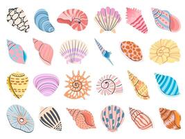 tropisch zeeschelp. tekenfilm mossel, oester en schulp schelpen. kleurrijk onderwater- schelpen van weekdier en zee slak. oceaan schaaldieren vector reeks