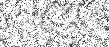 achtergrond van de topografisch kaart. abstract patroon met lijnen. verhoging contouren schets cartografie textuur. futuristische wireframe landschap achtergrond. geografisch abstract rooster vector