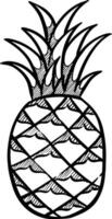 hand- getrokken ananas zwart en wit vector