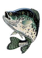 crappie vis wijnoogst hand- getrokken illustratie vector