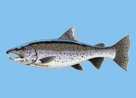 forel vis hand- getrokken wijnoogst gekleurde illustratie vector