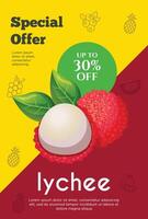 folder speciaal aanbod voor lychee fruit Product. fruit Promotie folder vector