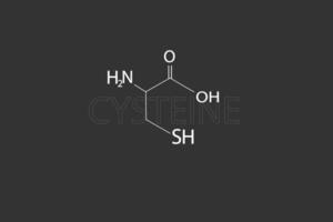 cysteïne moleculair skelet- chemisch formule vector